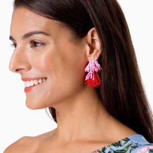 Red & Pink Fireworks Earrings